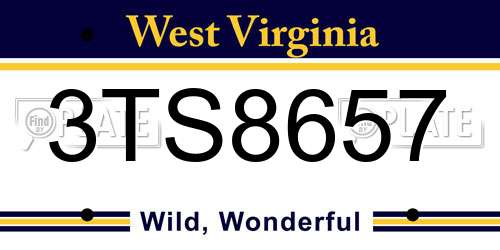 3TS8657 West Virginia License Plate