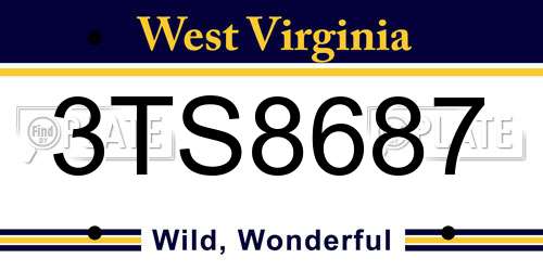 3TS8687 West Virginia License Plate