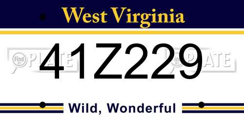 41Z229 West Virginia License Plate