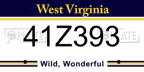 41Z393 West Virginia License Plate