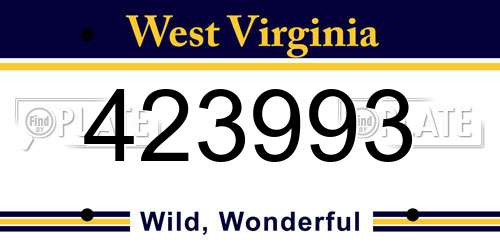 423993 West Virginia License Plate