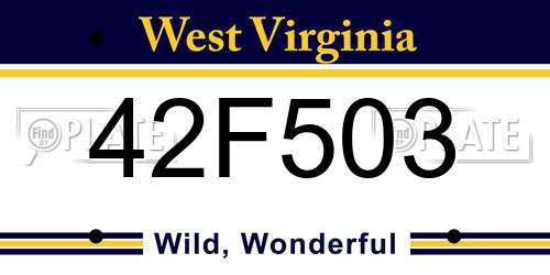 42F503 West Virginia License Plate