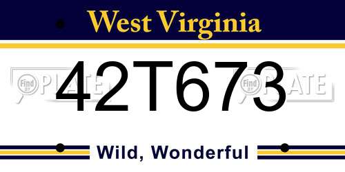 42T673 West Virginia License Plate