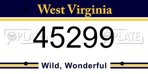 45299 West Virginia License Plate