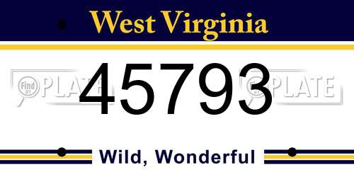 45793 West Virginia License Plate