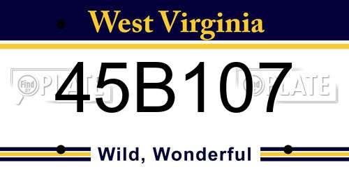 45B107 West Virginia License Plate