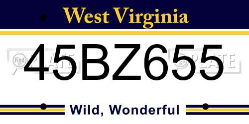 45BZ655 West Virginia License Plate
