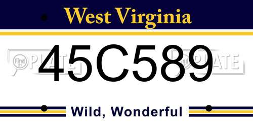 45C589 West Virginia License Plate