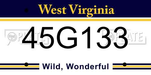 45G133 West Virginia License Plate