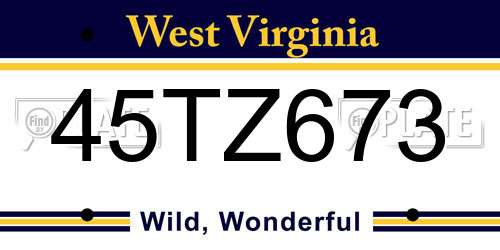 45TZ673 West Virginia License Plate