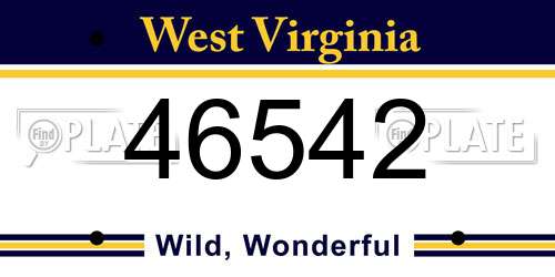 46542 West Virginia License Plate