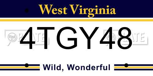 4TGY48 West Virginia License Plate
