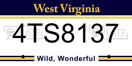 4TS8137 West Virginia License Plate