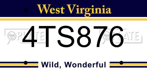 4TS876 West Virginia License Plate