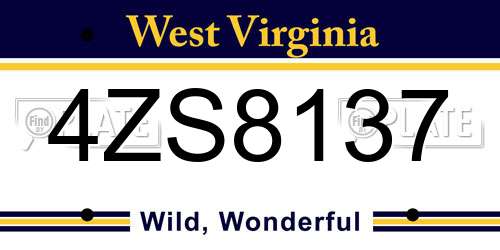 4ZS8137 West Virginia License Plate