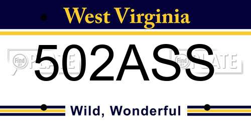 502ASS West Virginia License Plate
