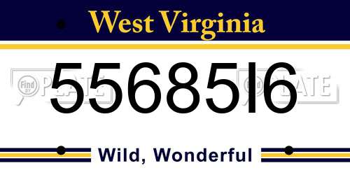 55685I6 West Virginia License Plate