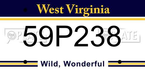 59P238 West Virginia License Plate