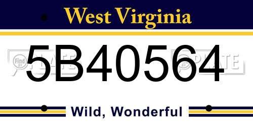 5B40564 West Virginia License Plate
