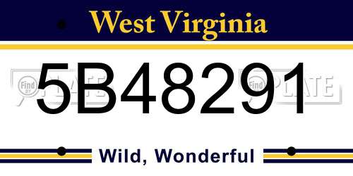5B48291 West Virginia License Plate
