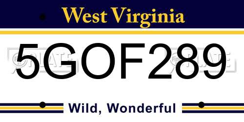 5GOF289 West Virginia License Plate