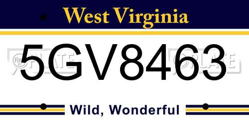 5GV8463 West Virginia License Plate