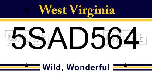 5SAD564 West Virginia License Plate