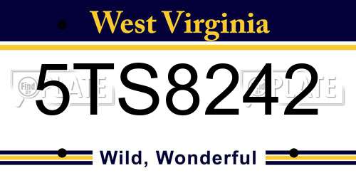 5TS8242 West Virginia License Plate