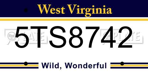 5TS8742 West Virginia License Plate