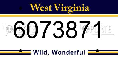 6073871 West Virginia License Plate