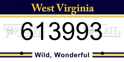 613993 West Virginia License Plate