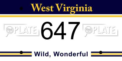 647 West Virginia License Plate