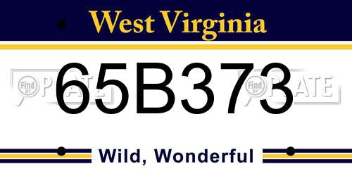 65B373 West Virginia License Plate