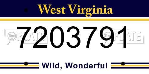 7203791 West Virginia License Plate