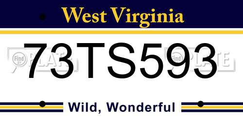 73TS593 West Virginia License Plate