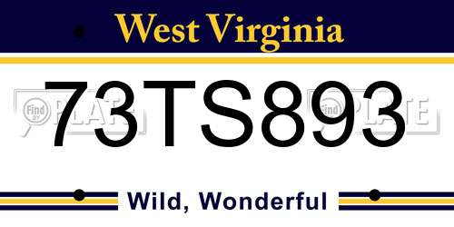73TS893 West Virginia License Plate