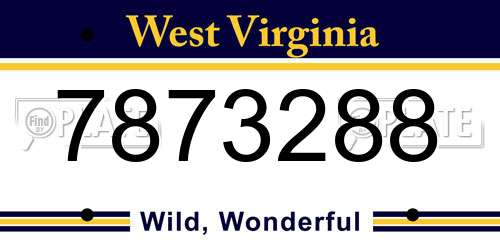 7873288 West Virginia License Plate
