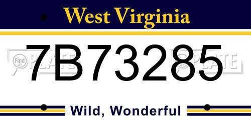 7B73285 West Virginia License Plate