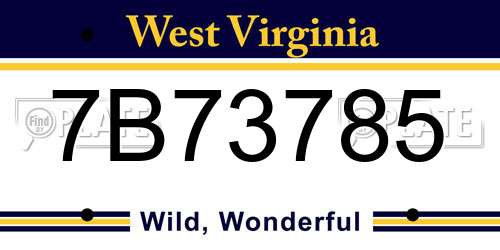 7B73785 West Virginia License Plate