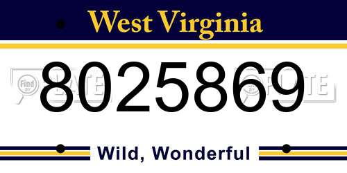 8025869 West Virginia License Plate