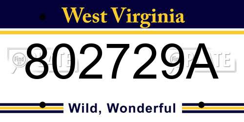 802729A West Virginia License Plate