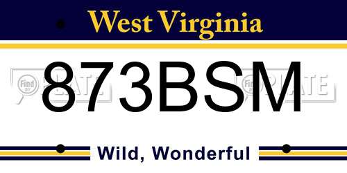 873BSM West Virginia License Plate