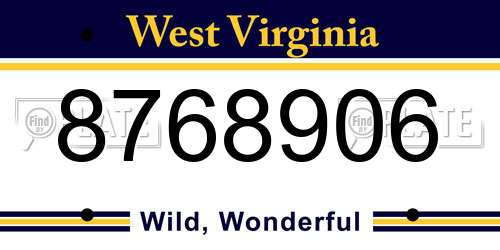 8768906 West Virginia License Plate