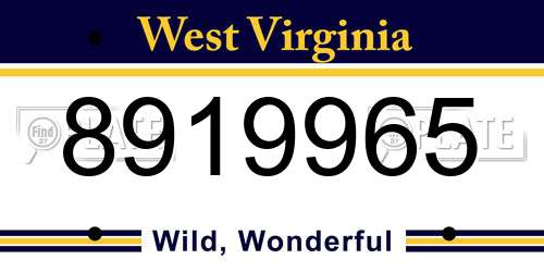 8919965 West Virginia License Plate