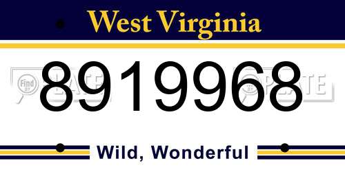 8919968 West Virginia License Plate