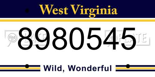 8980545 West Virginia License Plate