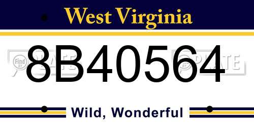 8B40564 West Virginia License Plate