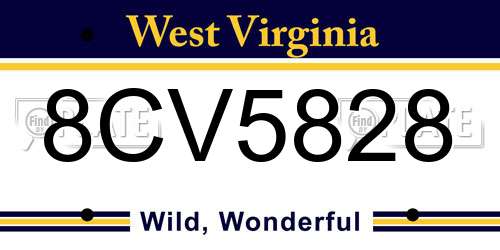 8CV5828 West Virginia License Plate