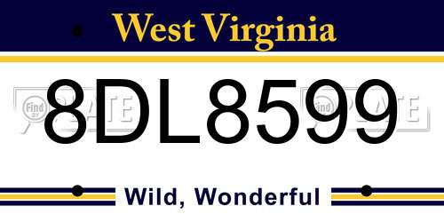 8DL8599 West Virginia License Plate
