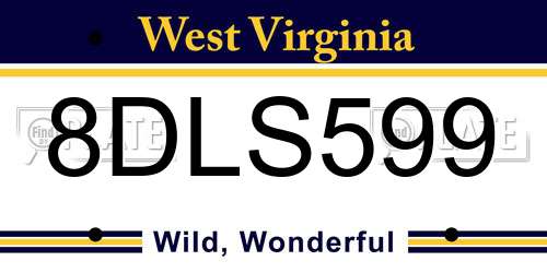 8DLS599 West Virginia License Plate